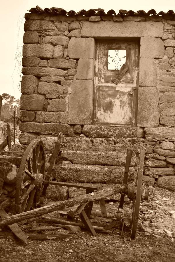 Casa Das Andorinhas Seia Exteriér fotografie